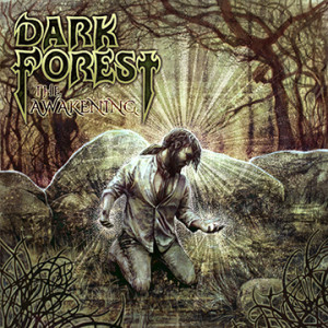 darkforestband