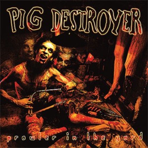 pigcover